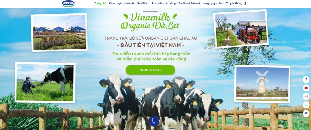 website giới thiệu công ty